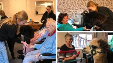 Adorable duo make a visit to Cherry Willingham care home